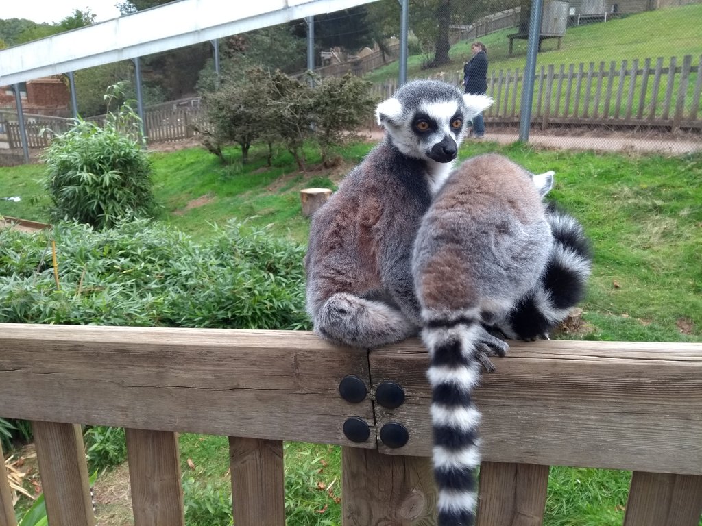 Image 2018-10-02 11.35.39.jpg