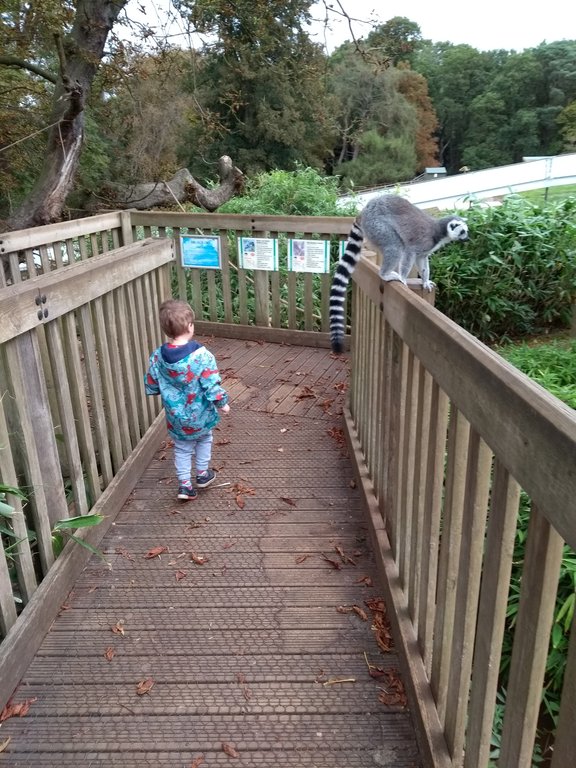 Image 2018-10-02 11.36.26.jpg